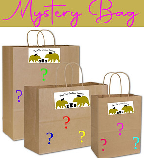 mystery bag .jpeg