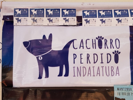 Você compra livros a R$ 5 e ainda ajuda os animais!