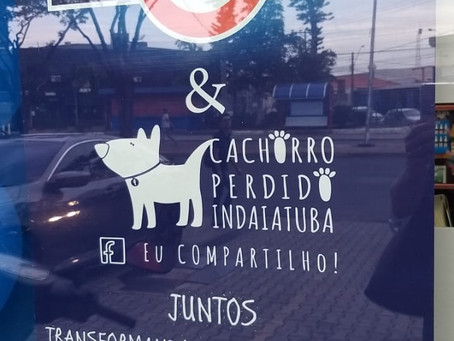 Campanha para ajudar animais de rua ganha força em Indaiatuba