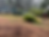 land-clearing-florence-or-gravel-driveway-shop-pad.jpg