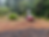 land-clearing-florence-or-gravel-driveway-shop-pad.jpg