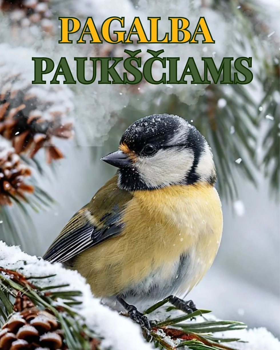 Pagalba paukščiams