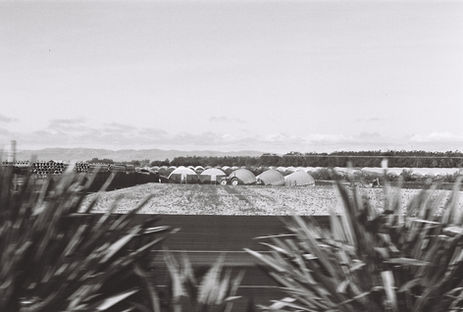 0626ED48-4A26-4D21-BF16-6EF54C94967C.jpeg