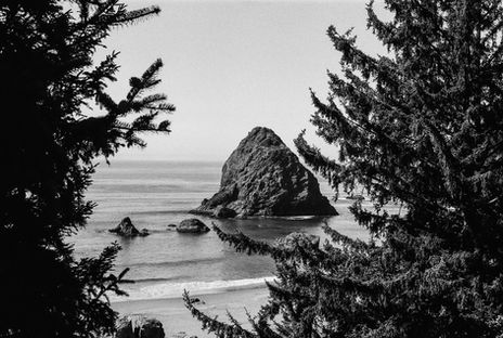 056785C0-6166-4AF0-9423-545AF9075A56.jpeg