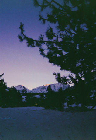 37091ED8-A8E1-41F3-A957-6B8C1E71DE47_1_201_a.jpeg