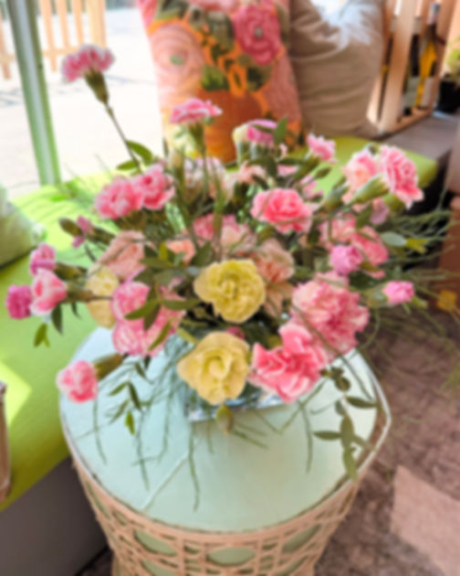 Carnation Creation