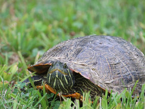 Respecting Your Time