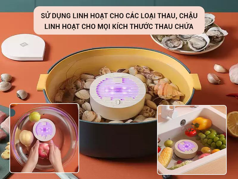 Sử dụng máy khử độc hoa quả cầm tay như thế nào là đúng cách ?
content media