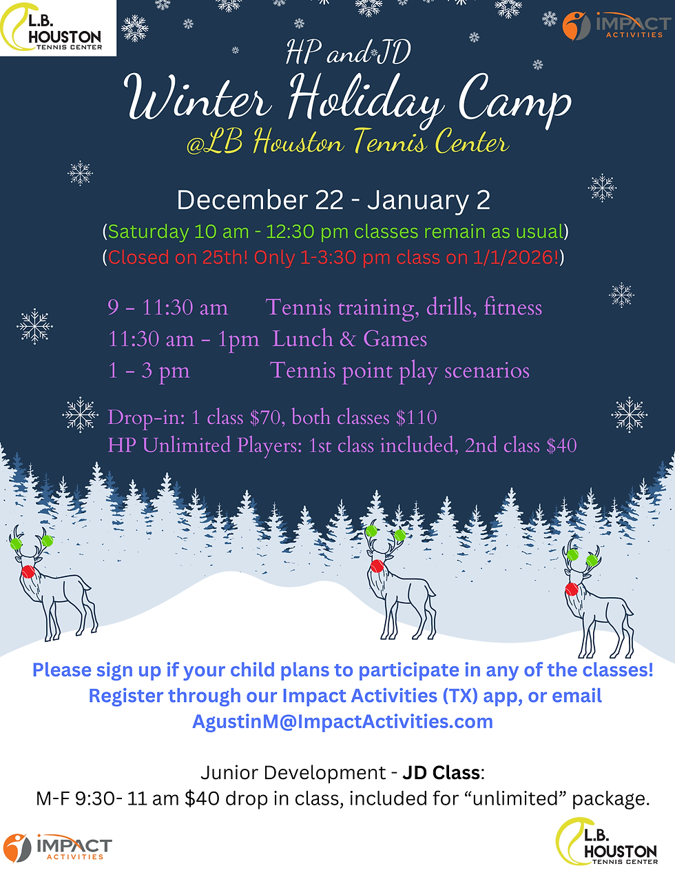 2025 Christmas Flyer.png