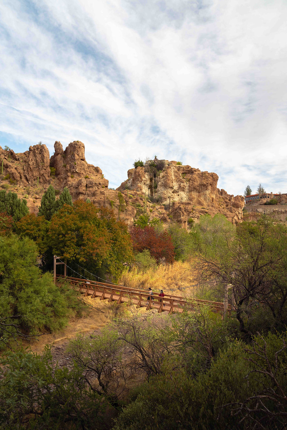 Wandering beneath canyon walls and desert skies at Boyce Thompson Arboretum.