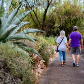 Every Visit Counts: How Tourism Shapes a Rural Town