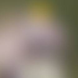 Plan Your Spring Birding Adventure in Superior, Arizona