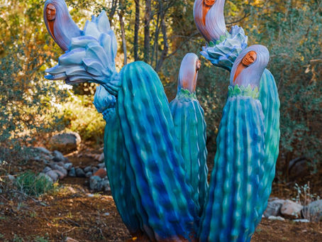 Discover the Natural Wonder at Boyce Thompson Arboretum