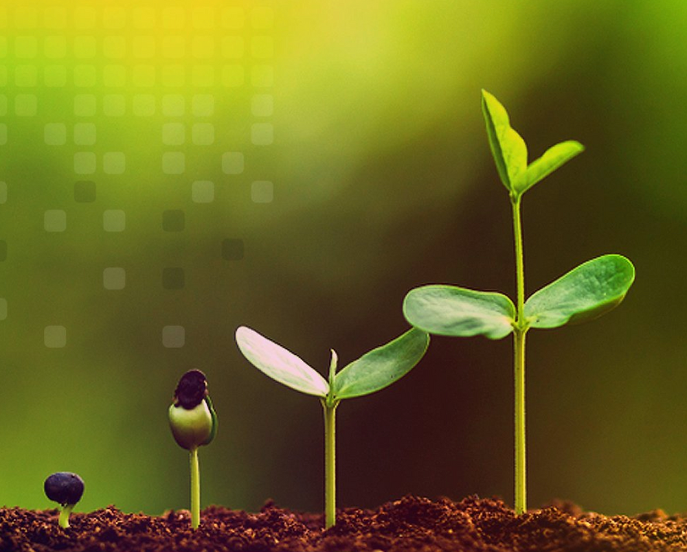 Growth is a continuous process- slow and gradual