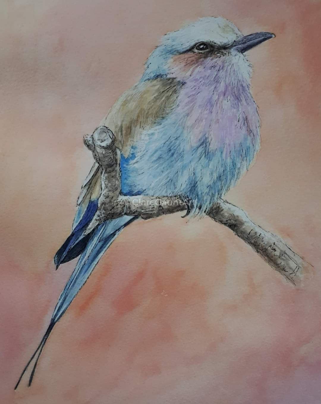Lilac Breasted Roller