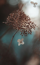 high-end natural materials