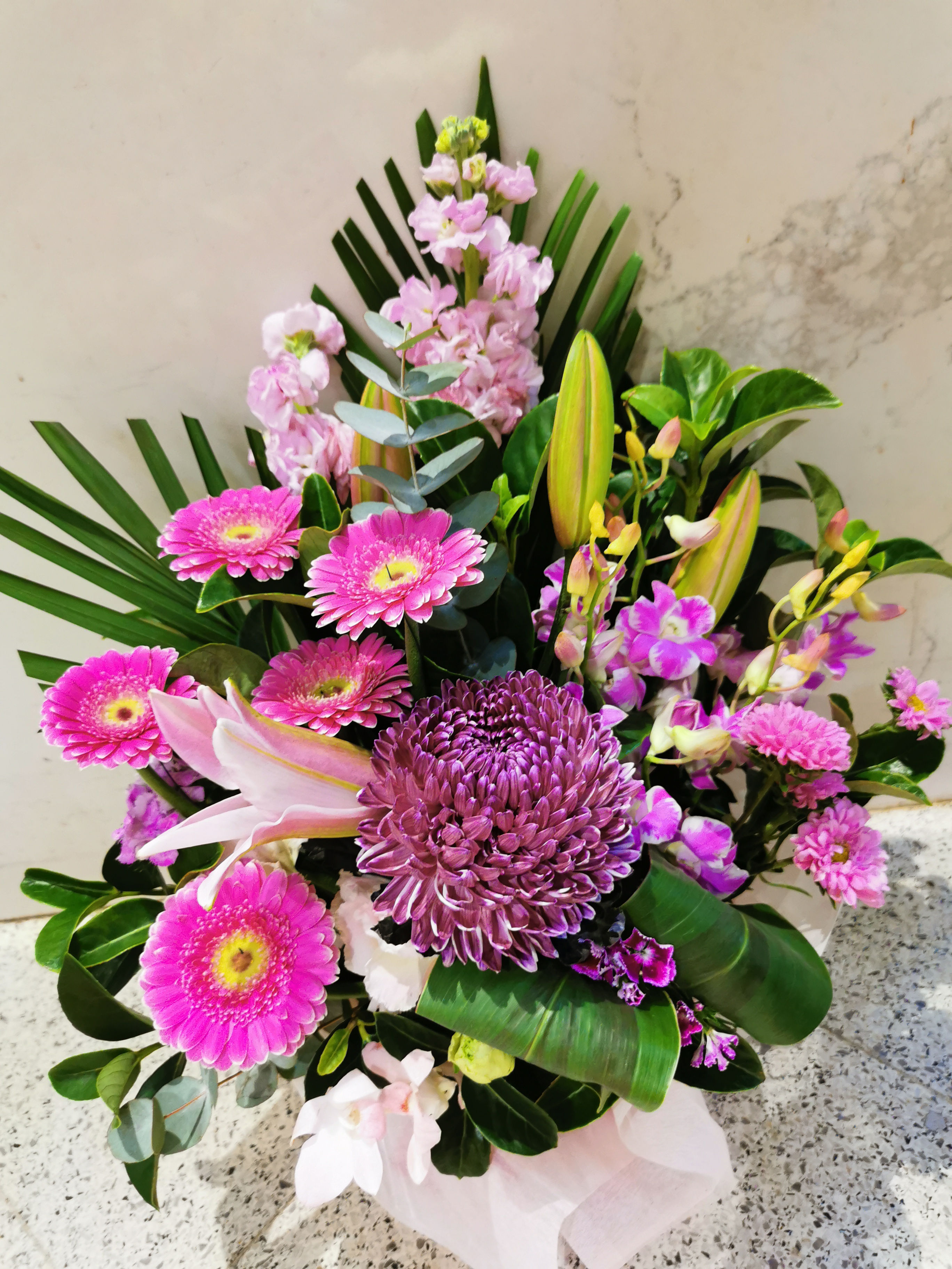Pink Blooms