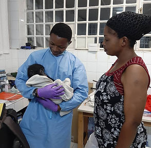 Orphaned bonobo Mpongo Doctor and Surrogate mom at Lola ya Bonobo Sanctuary in DR Congo in 2020