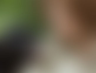 Claudine André and a bonobo look at each other