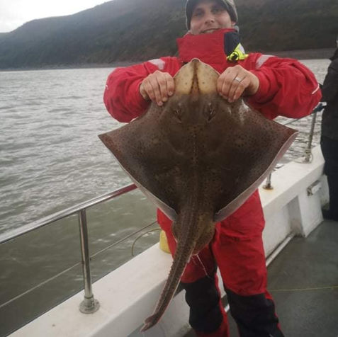blonde-ray-sofiya-charters-bristol-channel-ray-fishing