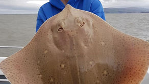 Book a boat part 3- Teddie Boy, Minehead - From the VMO Blog