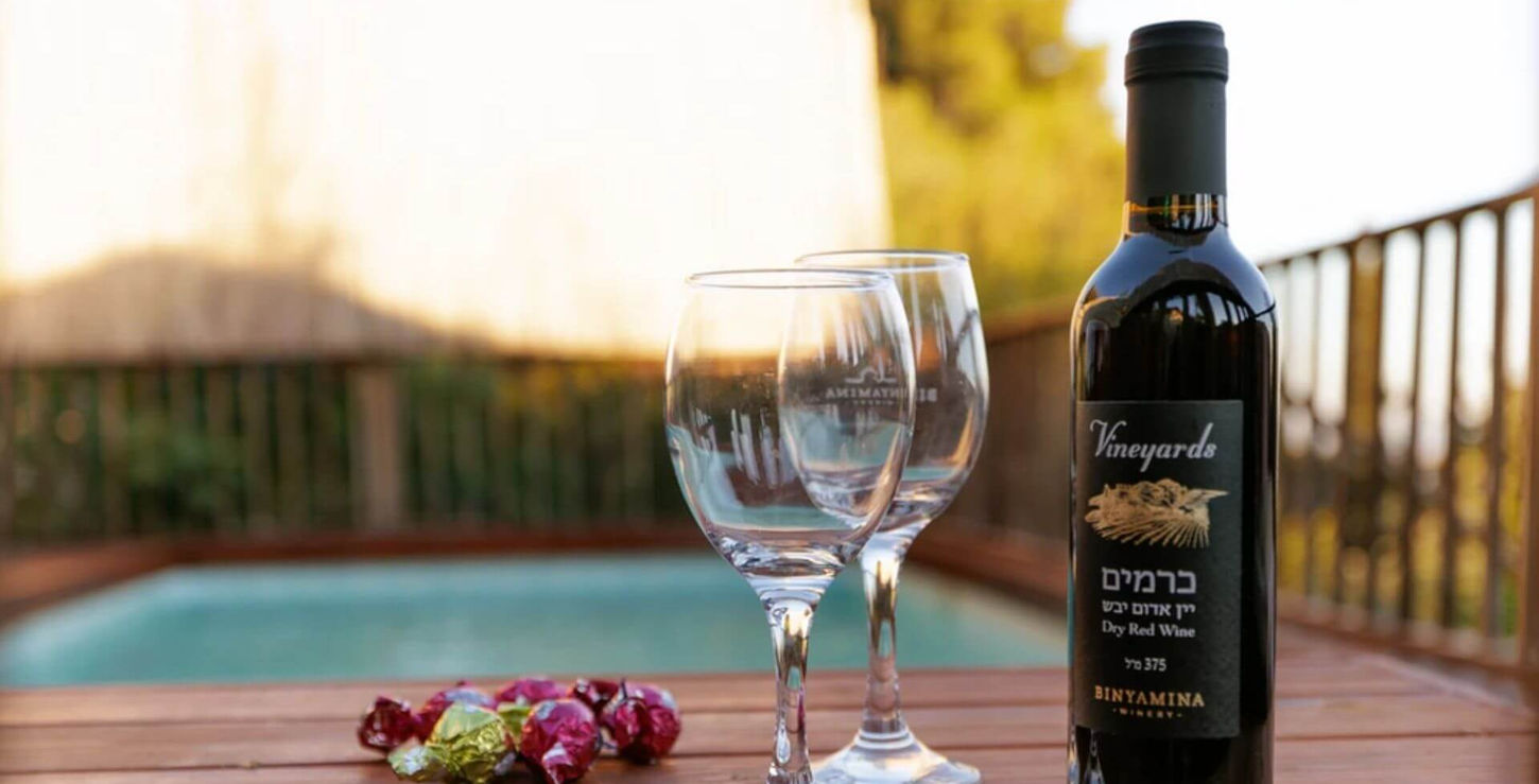 הנוף לבריכה