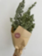 זר יבשים אקליפטוס