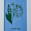 Thumbnail: Wild Garlic Art Print