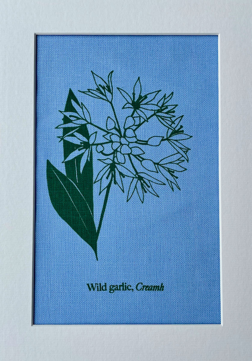 Thumbnail: Wild Garlic Art Print