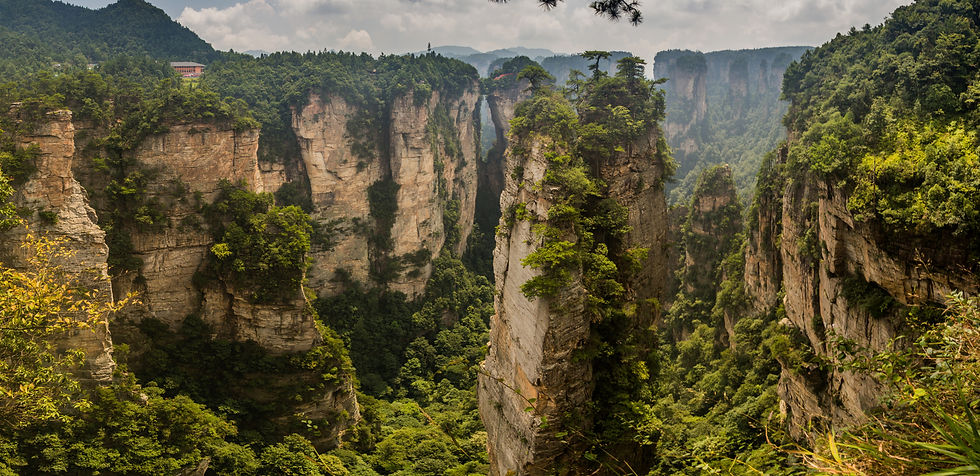 Lumea Pandorei în China