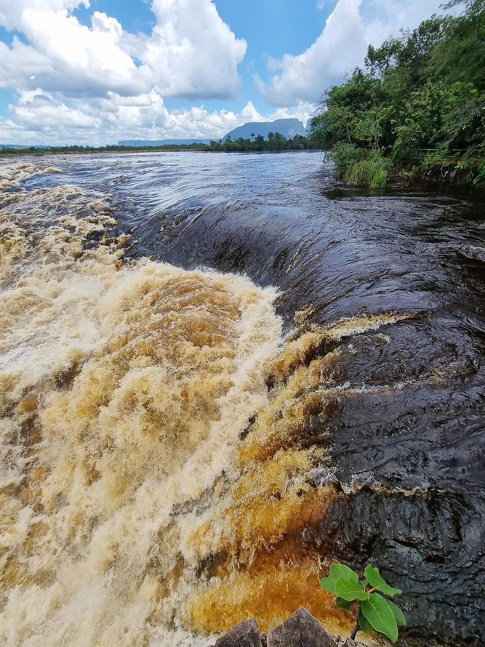 Parcul Național Canaima_Photo Credits Corina Corina