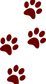 footprints-gae8664ba9_1280_edited.png