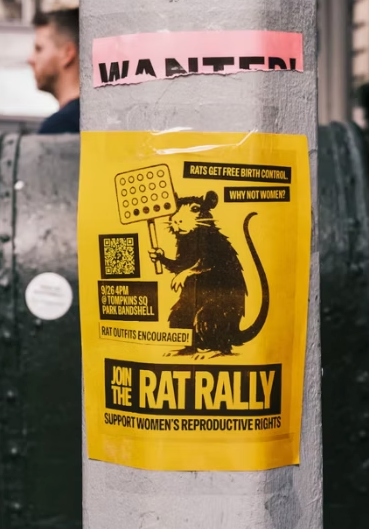 A flyer for the Rat Rally. Proof!