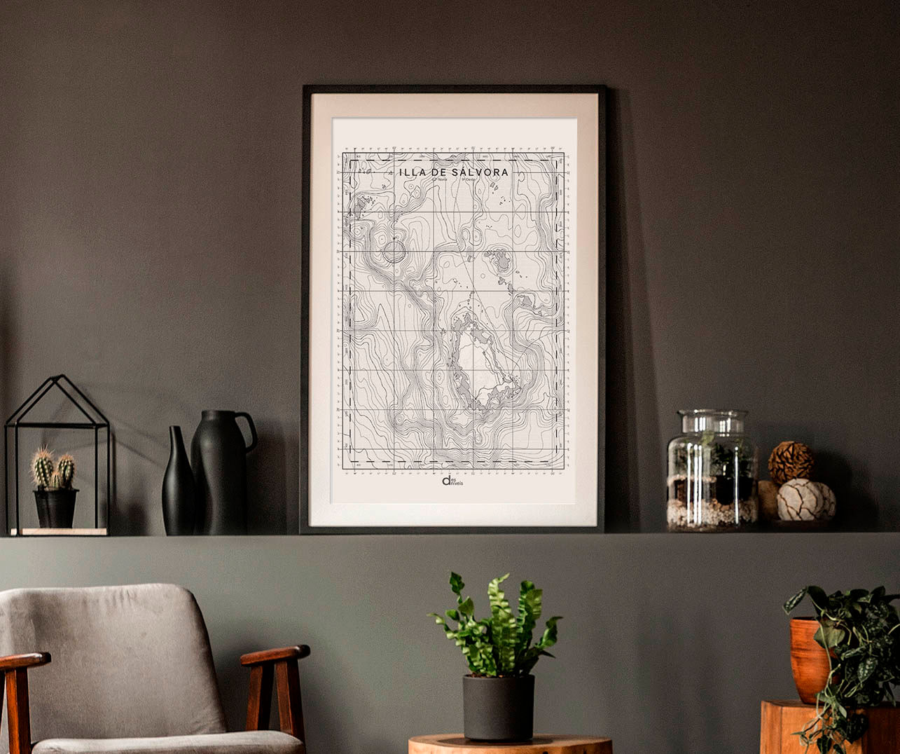 Isla de Sálvora - Color Cormorán