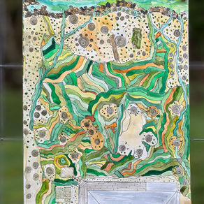 Patterns of Belonging