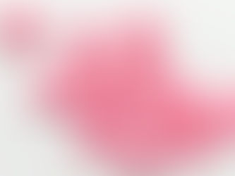 Learning Disabilities and How They Affect Undergraduate Students