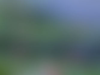 Resilience Theory: The Path to Surviving and Thriving