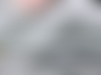 Which Affects Which: Self-Esteem vs. Academic Performance?