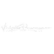 Vlad Pereverzyev signature in white