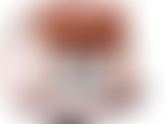 1800mAh 6V MR-BAT6V1 Akku für Mitsubishi 2CR17335A WK17 CR17335 MR-BAT6V1 Batterien