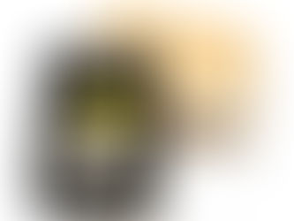 2900mAh Hytera BP2901 Funkgeräte Akku passend für Hytera PDC760 PTC760