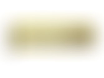 1100mAh iFlytek ZWD412283H Elektronik Akku passend für iFlytek Alpha Egg TYP-AIT10, TYP-AIT20