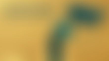 eLearning Vendor Selection Guide for USA Companies (2026)