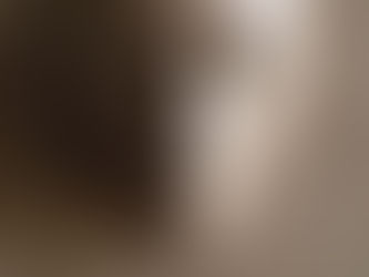 Edith Stein's Foreword. Empathy 