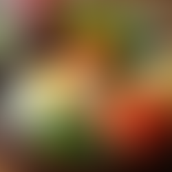 Supporting Children with Delicious Bento Meals