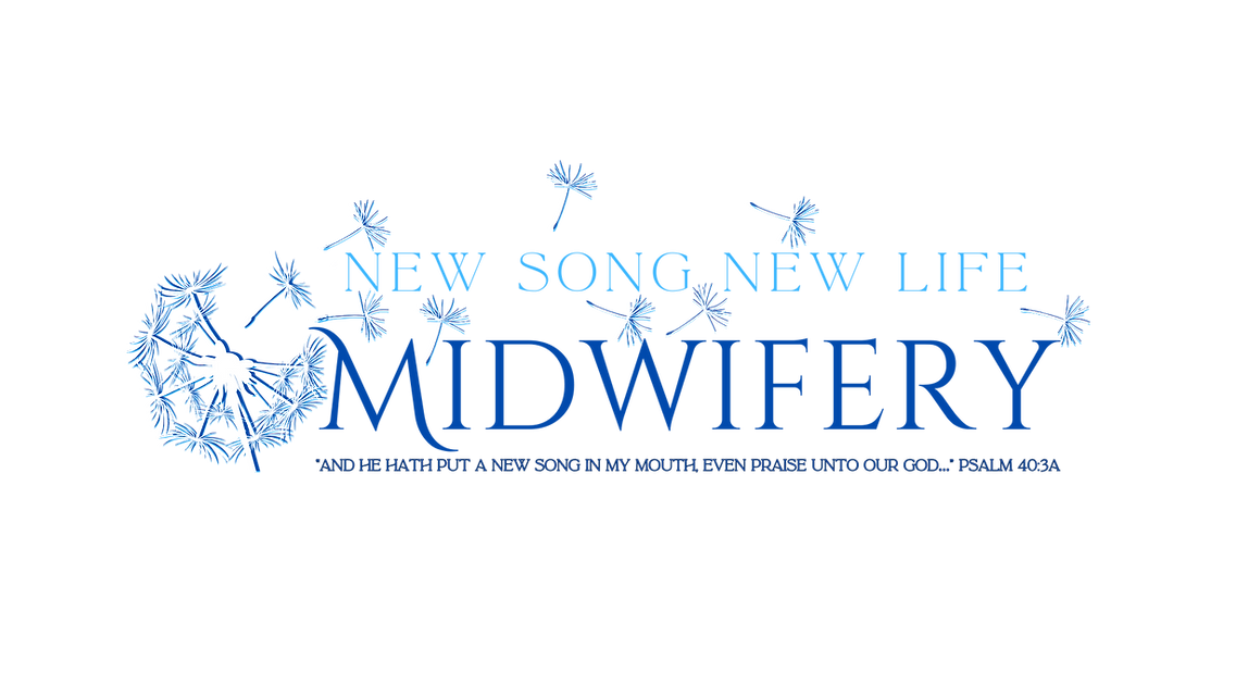 New Song New Life (4).png