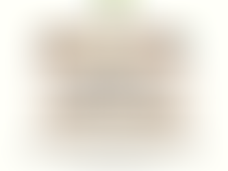 Educational Speech & Language Evaluation: What to Expect