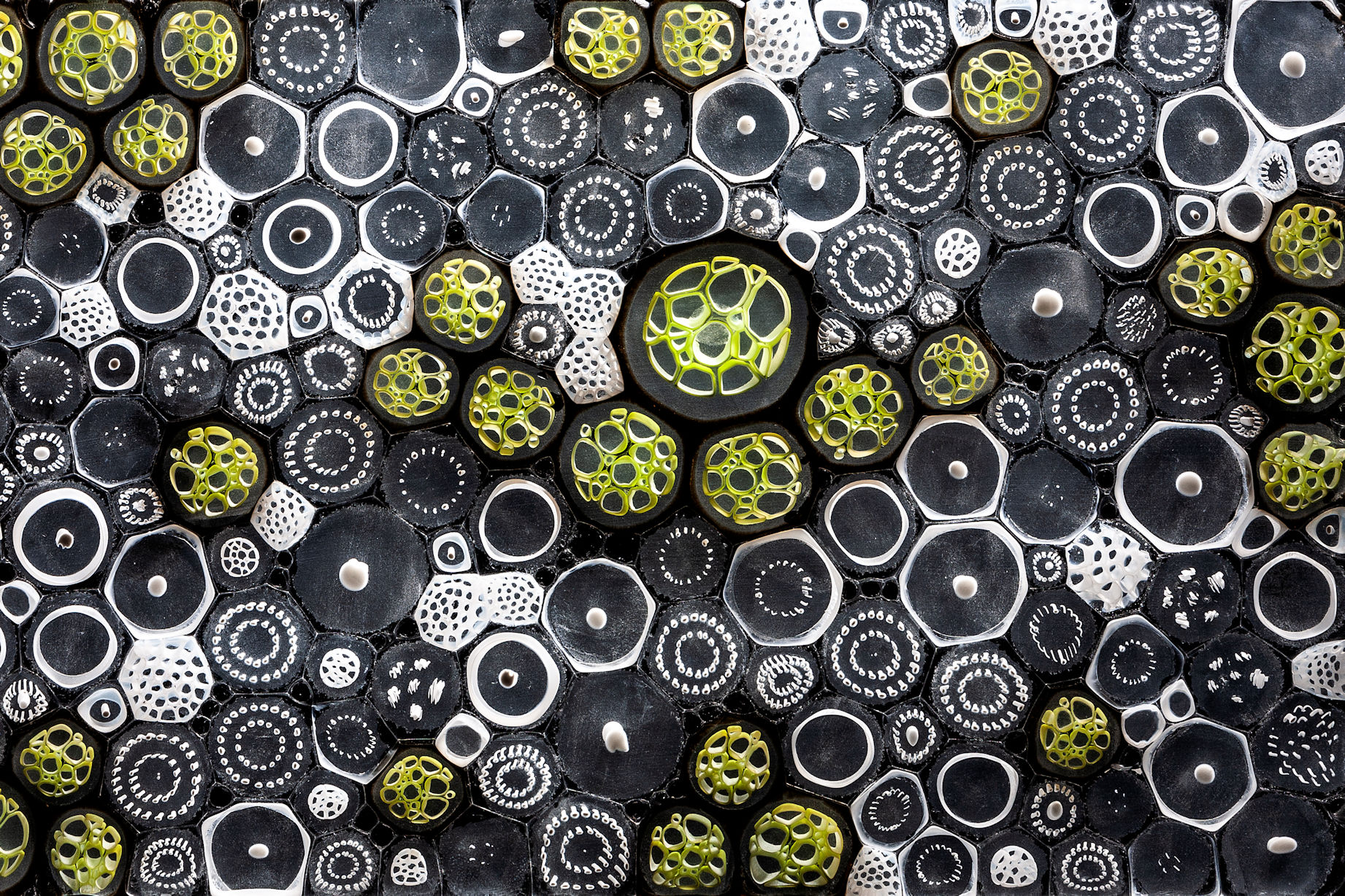 Division and Growth (2018) - Detail