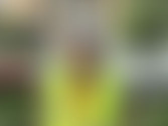 Project Spotlight - Simon Koumjian III