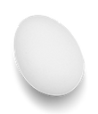 Fresh Egg